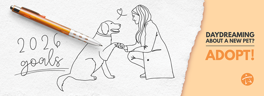 Come Visit and Leaf with a Friend